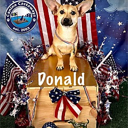 Thumbnail photo of Donald #3