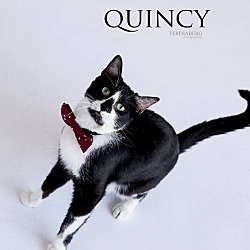 Thumbnail photo of Quincy #3