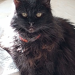 Photo of Madea