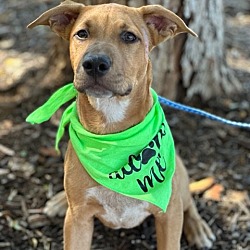 Photo of Knox