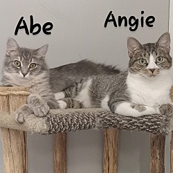 Thumbnail photo of Angie & Abe #2