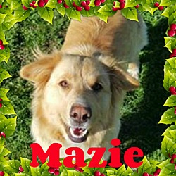 Thumbnail photo of Mazie #1