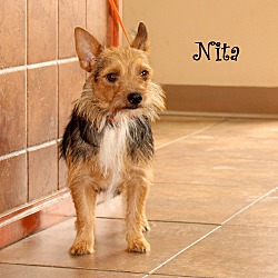 Thumbnail photo of Nita ~ meet me #3