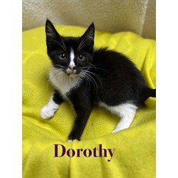 Photo of Dorothy