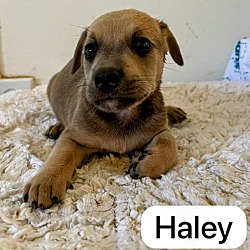 Thumbnail photo of Haley #3