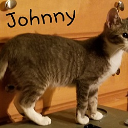 Thumbnail photo of Johnny #3