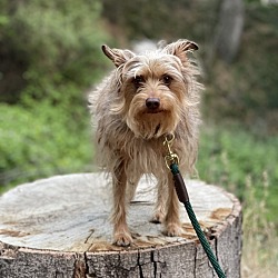 Photo of Franny