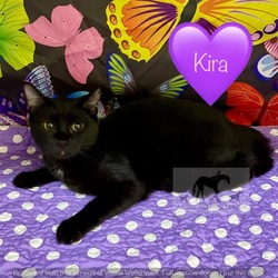 Photo of KIRA