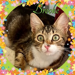 Thumbnail photo of Brooke #2