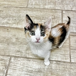 Photo of REGINA
