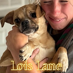 Thumbnail photo of Lois #2