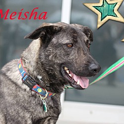 Thumbnail photo of Meisha #2