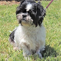 Photo of BEST FRIEND BUDDY