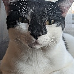 Photo of Bradley