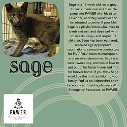 Photo of Sage( sponsored)