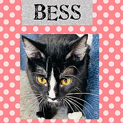 Photo of Bess