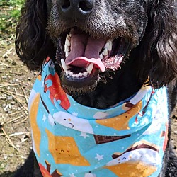 Photo of Wally Bear