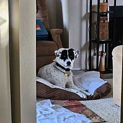 Photo of Marlowe