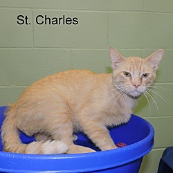 Thumbnail photo of St. Charles #4