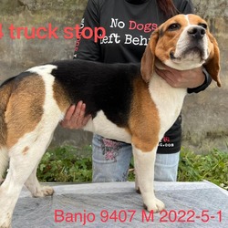 Thumbnail photo of Banjo 9407 #1