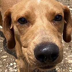 Thumbnail photo of Hunter #1
