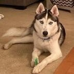Photo of Dulce