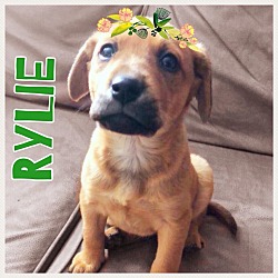 Photo of Rylie