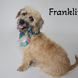 Thumbnail photo of Franklin #2