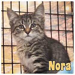 Photo of Nora - NN