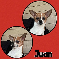 Photo of Juan