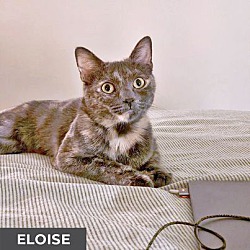 Thumbnail photo of Eloise #3