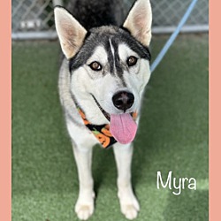 Thumbnail photo of MYRA #2