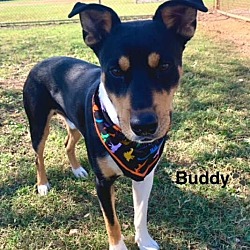 Thumbnail photo of Buddy #3