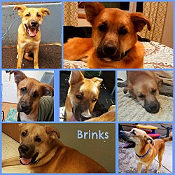 Thumbnail photo of BRINKS #3