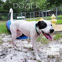 Thumbnail photo of Dozier #3