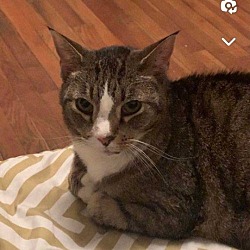 Photo of Roxy
