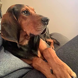 Photo of DAISY - Courtesy Post