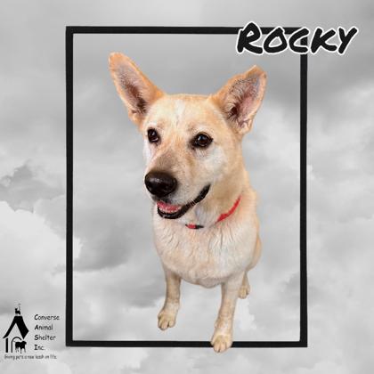 Photo of ROCKY