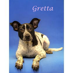 Thumbnail photo of Gretta (D24-079) #2