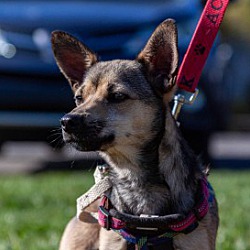 Photo of Leo (Chi)