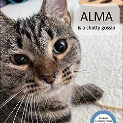 Thumbnail photo of Alma #1