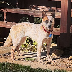 Photo of Winnie