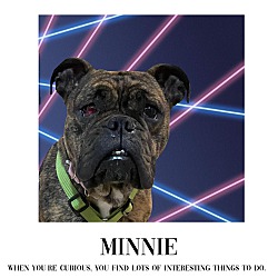 Thumbnail photo of Minnie #1
