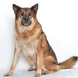 Photo of Hiro