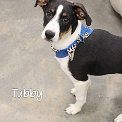 Photo of Tubby