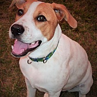 Last Hope Rescue in Tallahassee, Florida