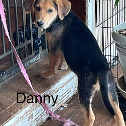 Thumbnail photo of Danny #2