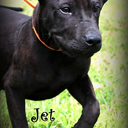 Thumbnail photo of Jet ~ meet me! #3