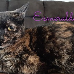 Photo of Esmeralda
