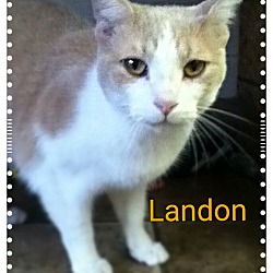Thumbnail photo of Landon #2